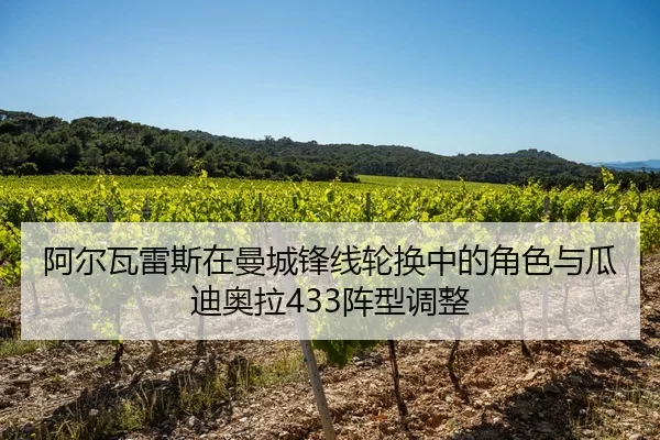 阿尔瓦雷斯在曼城锋线轮换中的角色与瓜迪奥拉433阵型调整