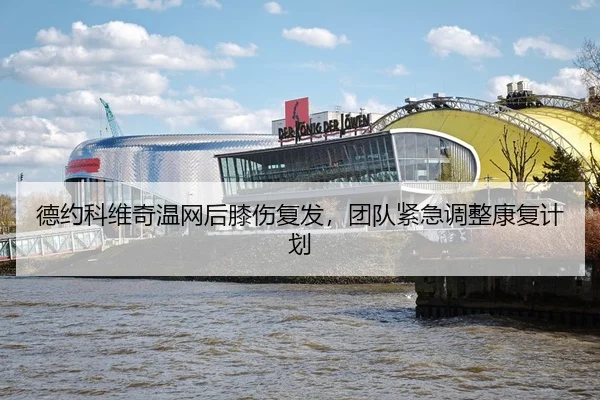 de-yue-ke-wei-qi-wen-wang-hou-xi-shang-fu-fa-tuan-dui-jin-ji-tiao-zheng-kang-fu-ji-hua-3-523.jpg